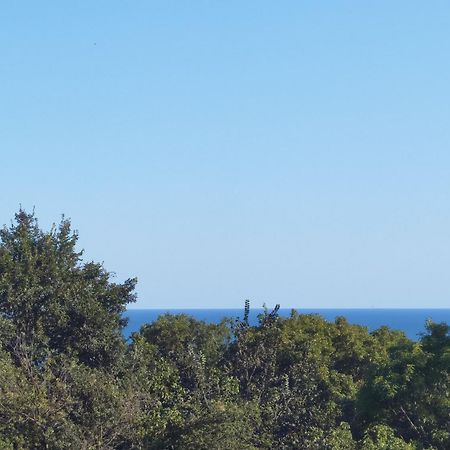 Villa Metatron U Doma Baltjik Exteriör bild