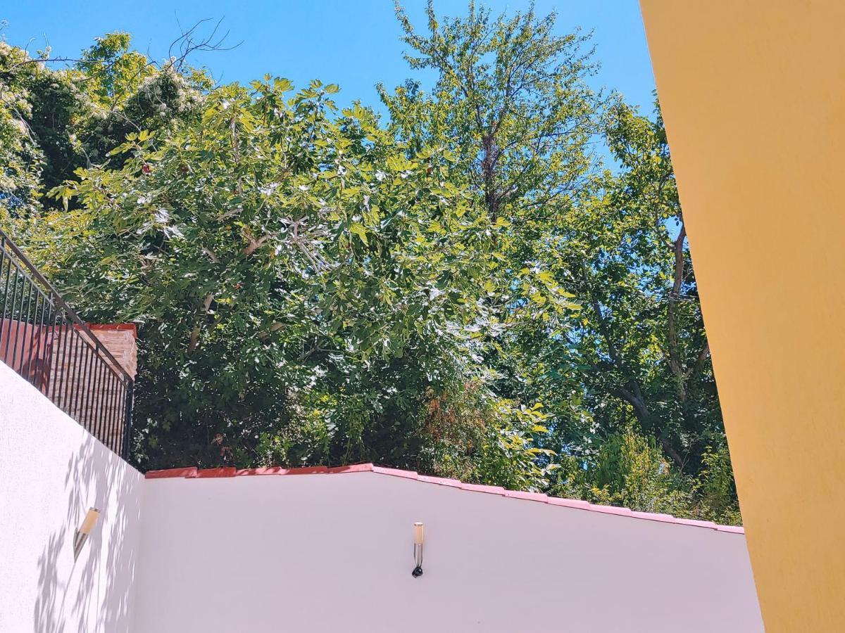 Villa Metatron U Doma Baltjik Exteriör bild
